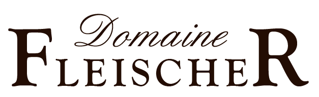 logo2-fleischer